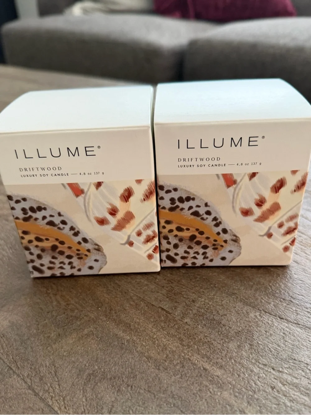 ILLUME Driftwood Baby Boxed Glass  4.8 Oz Candle Set of 2